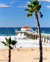 MB Pier Palms and Crashing Wave
