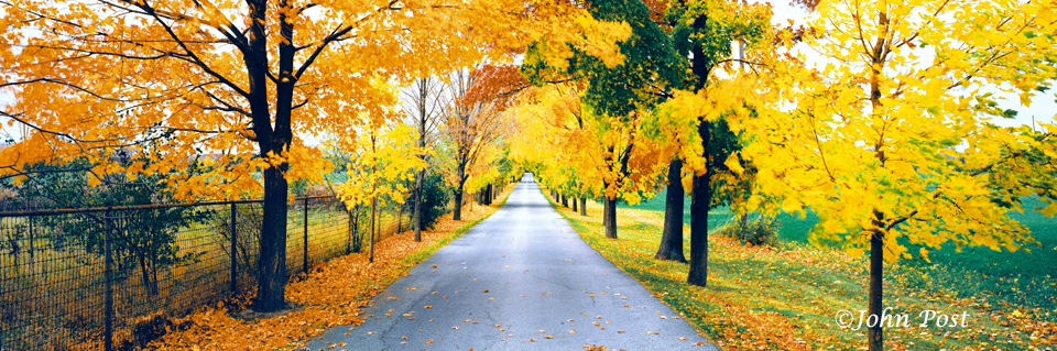 Road scene, Wisconsin