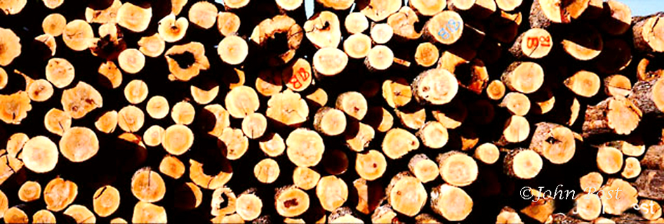 log ends