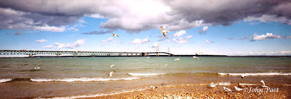 view accross water with seagulls  to bridge