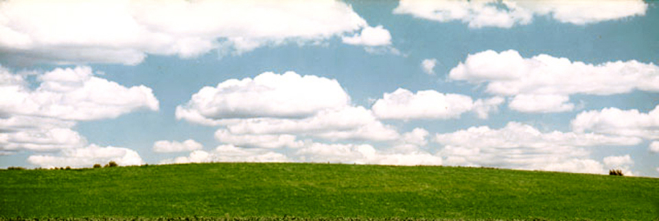 clouds, field