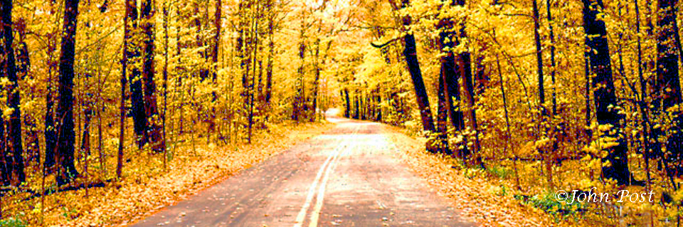 fall colors road