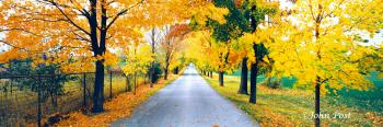 Treasure Island Drive