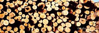 Stacked Log Ends