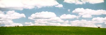 Clouds and Green Field