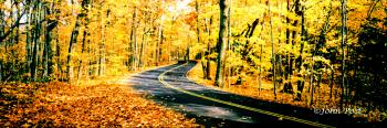 Curving Road Fall Colors
