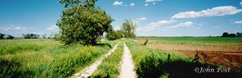 Track in Horicon Wildlife Reserve