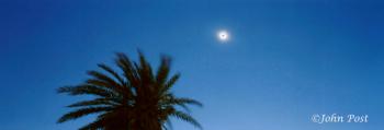 Solar Eclipes and Top of Palm Egypt
