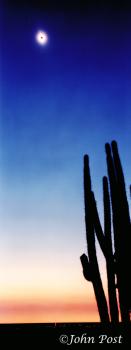Solar Eclipse and Cactus Venezuela