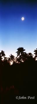 Solat Eclipse and Palm Trees India
