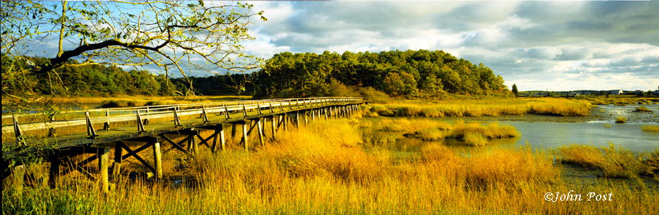 Footbridge accross wetland to island
