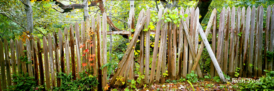 Broken Fence on Cape Cod