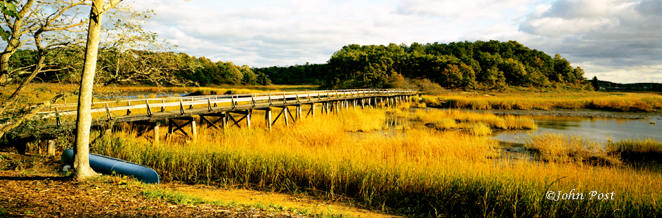 Bride, wetland,