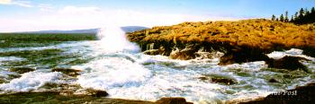 Shoodic Point and Crashing Wave