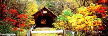 Covered Bridge 21 Fall Colors