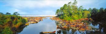 Kalaloch Creek Ocean and Logs
