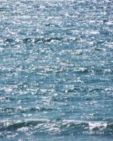 Seascape 006 Water