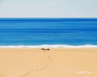 Seascape 033 Suntan painted