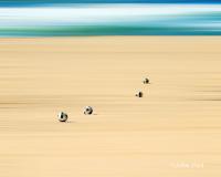 Seascape 043 Four Balls and Beach