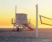 10th Street Tower Net Bird Sunset