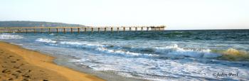 Hermosa Beach Pier with Birds