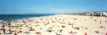 A Day at the Beach