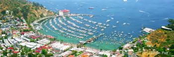 Avalon Harbor aerial