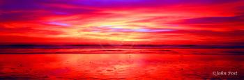 Extreme Sunset and Bird