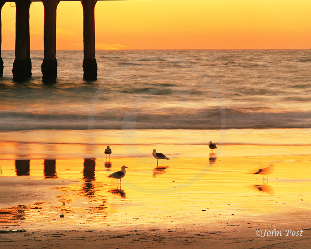 Manhattan Beach Piergrp38
