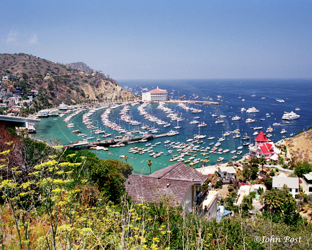Over view of Avalon Harbor