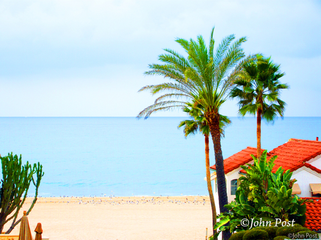 6th Street House Palms Cactus and Beach