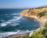 Bluff Cove Palos Verdes