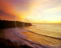 Bluff Cove Colors