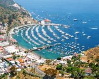 Avalon Harbor Catalina Island aerial
