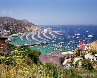 Avalon Harbor Catalina Island