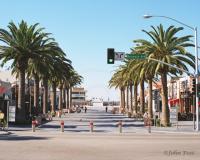 HB Promenade Day 2000