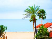 6th Street House Palms Cactus and Beach