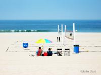 Beach Day