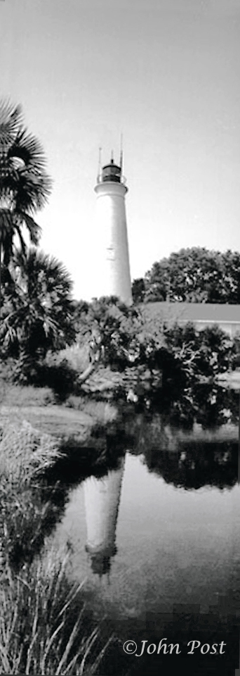 St Marks marshland, swamp