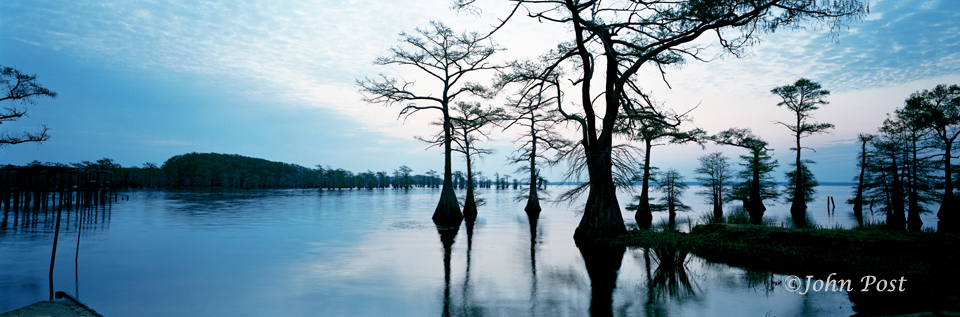 Evening view of caddo lake thru trees.