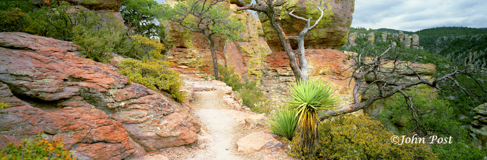 Unique rock formations in Chiricahua National Park