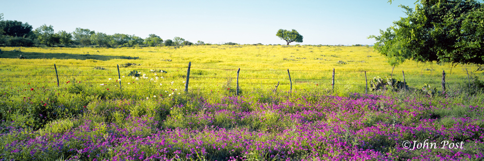 Field scene from roadside, Llano, Texas