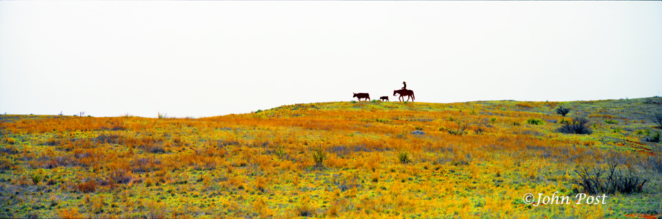 Rider and cows sculpture