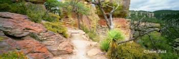 Arizona Trail Rocks Trees Chiricahua National Park