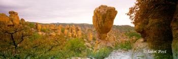 Trail Hoodoo Rocks Trees Chiricahua National Park