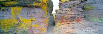 Gap in Rocks Tree Colors Chiricahua National Park