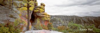 Trail Rocks Trees Cliff Chiricahua National Park