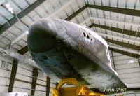Space Shuttle Endeavour Nose 1