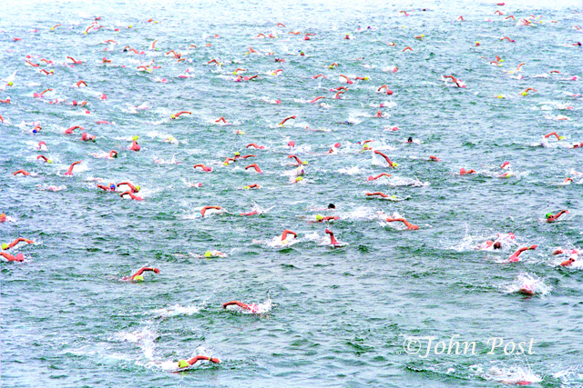 Pier To Pier 1990swim