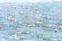 Dwight Crum Pier To Swim